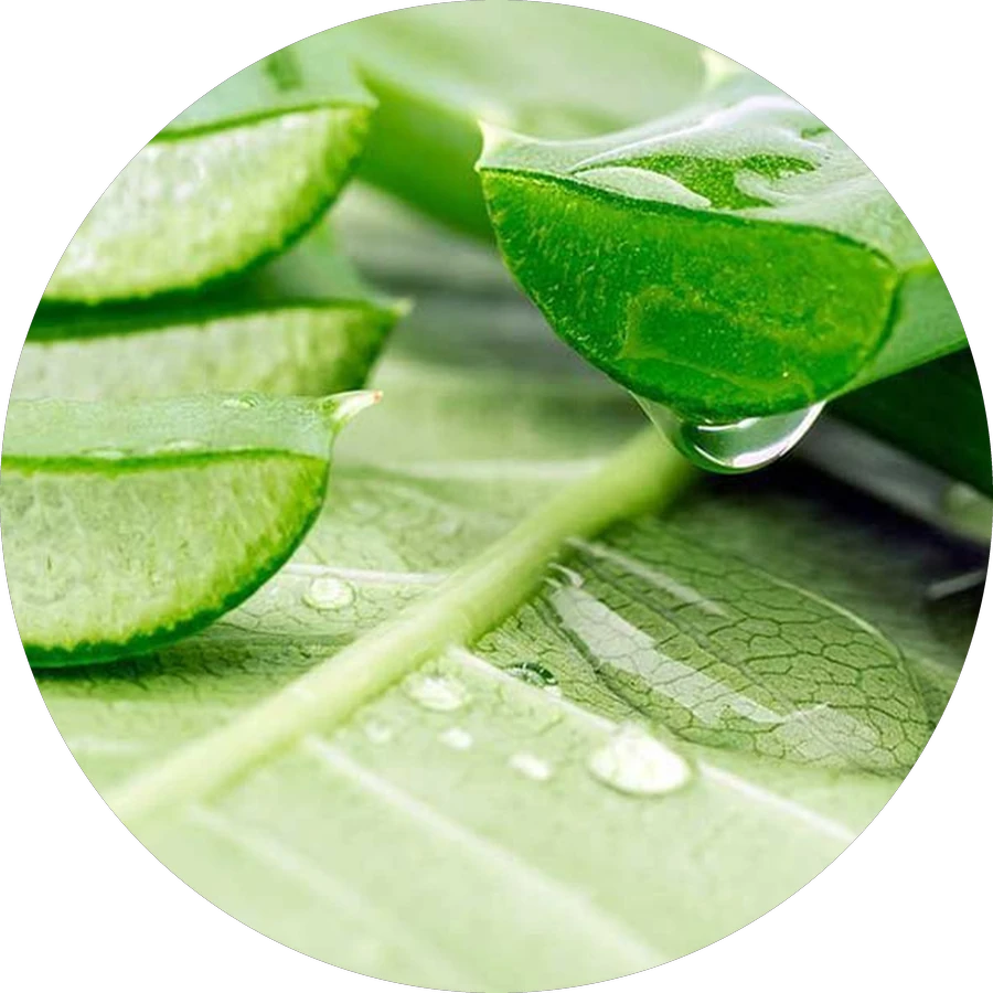 ALOE CREAM