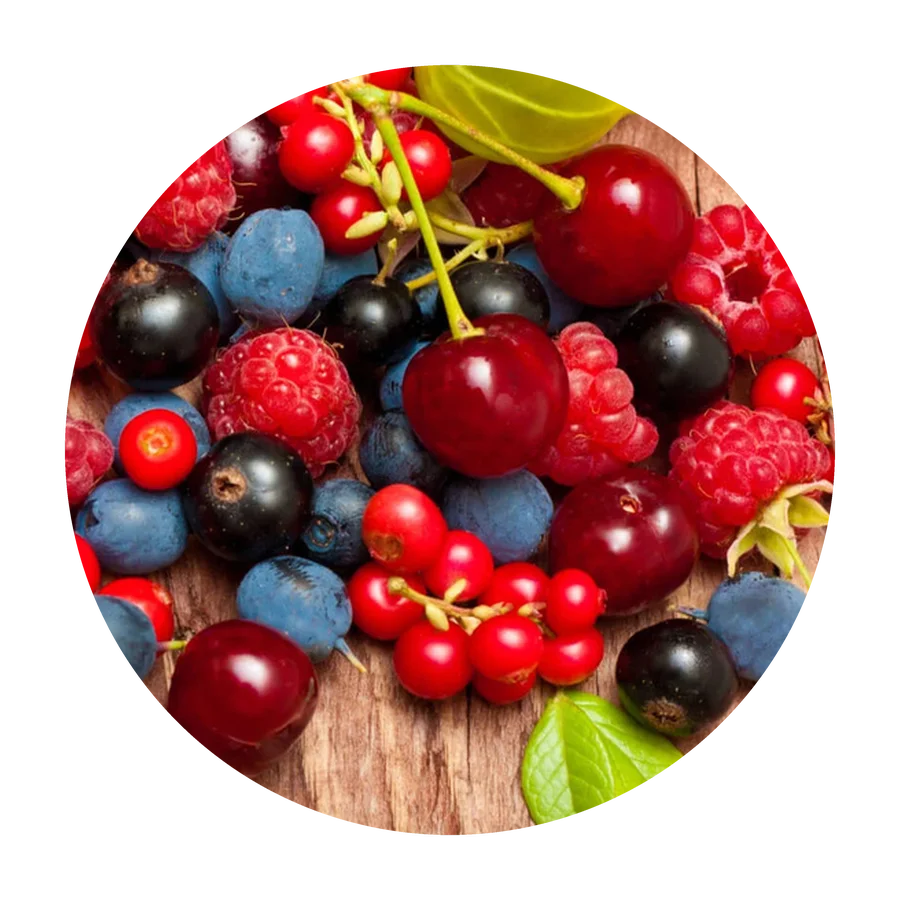 FRUTOS ROJOS