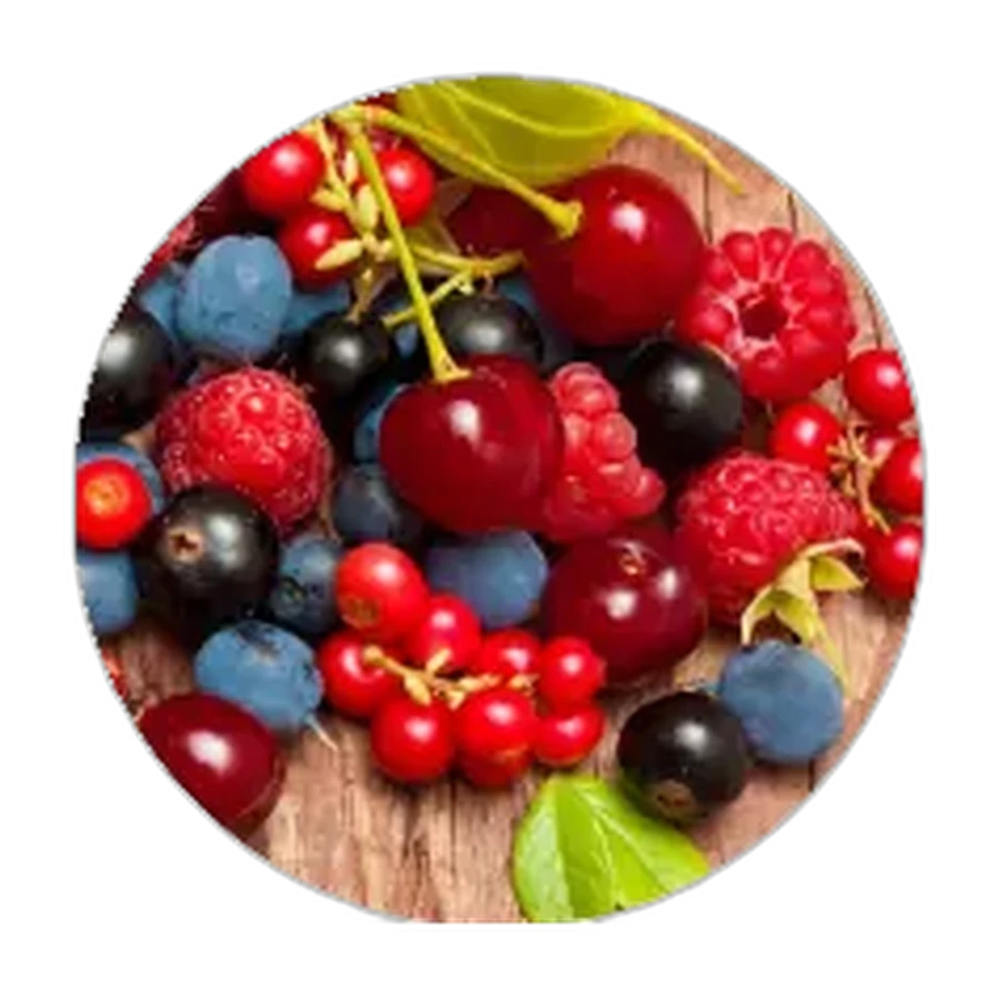FRUTOS ROJOS
