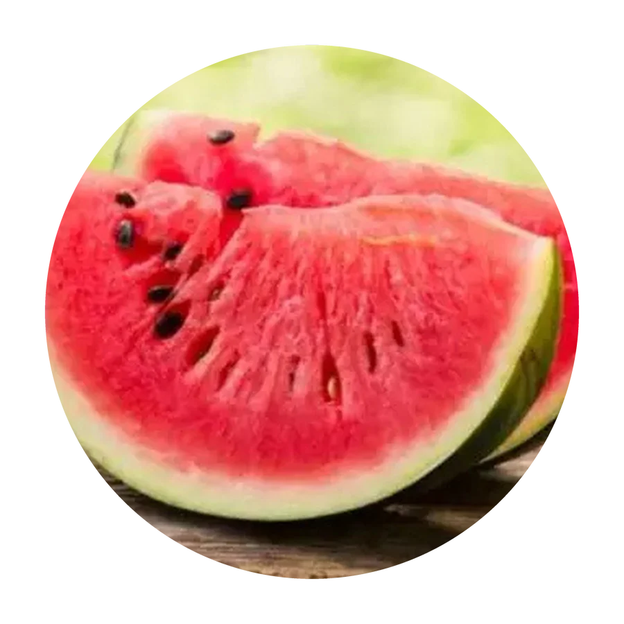 SANDIA