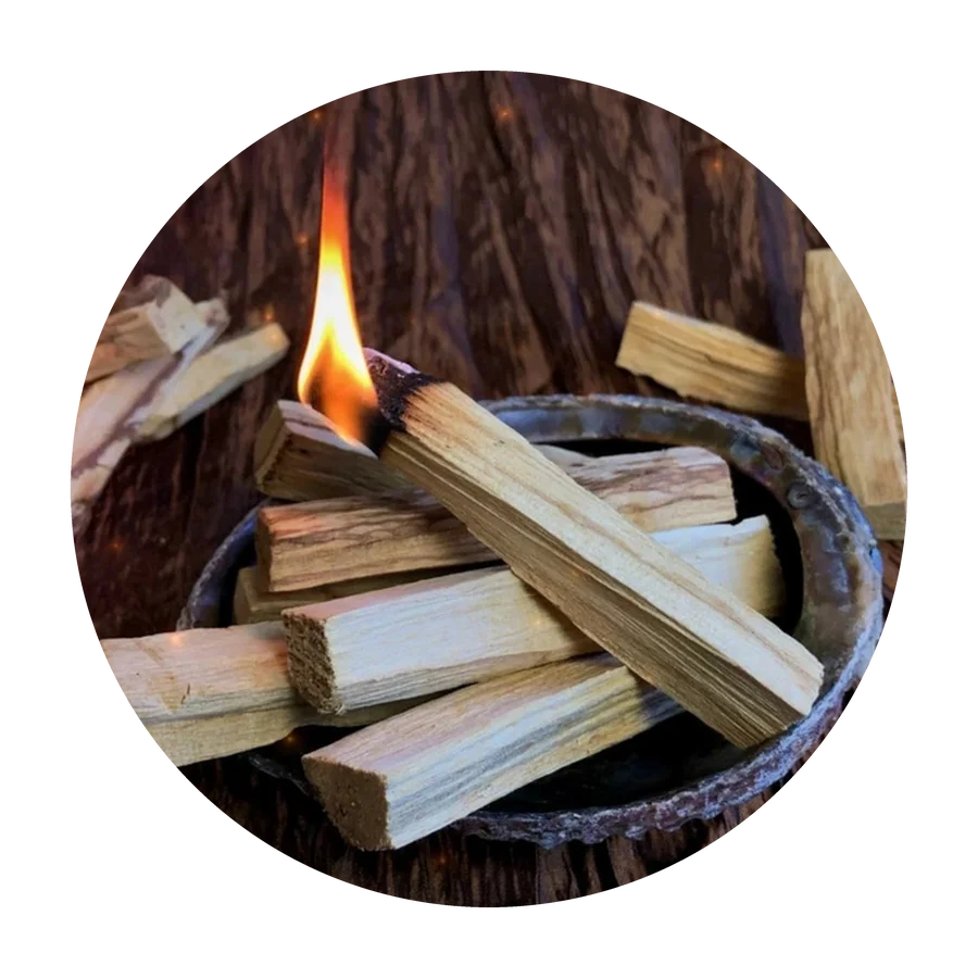 PALO SANTO