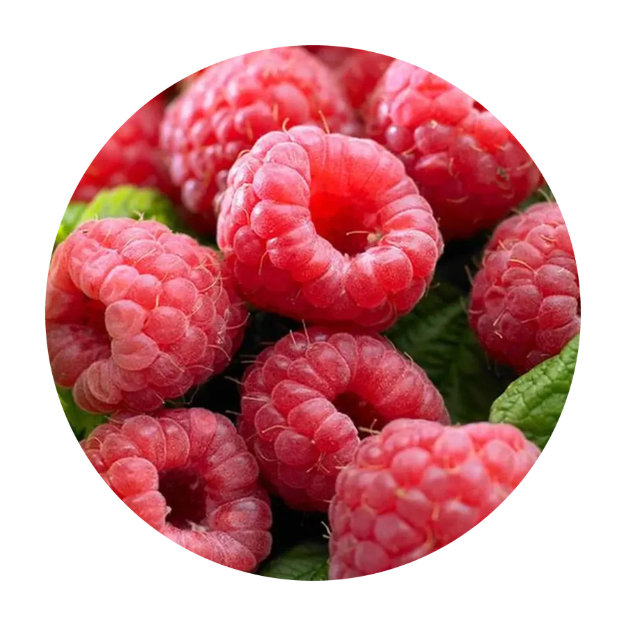 RASPBERRY