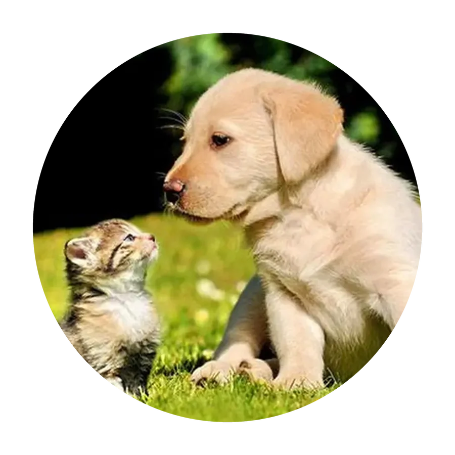 HERBAL PET